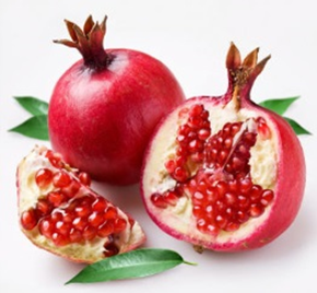 http://historicaldesign.com/silverartjewelry/wp-content/uploads/2015/05/AAN_Pomegranate_Brooch_Inspiration.png