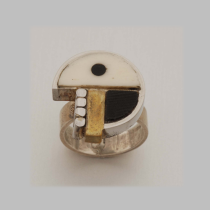 Peter Macchiarini, Ring