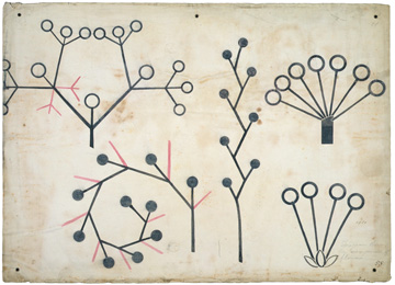 http://historicaldesign.com/wp-content/uploads/2014/09/2006an7985-christopher-dresser-botanical-drawing1.jpg