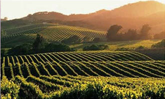 http://historicaldesign.com/wp-content/uploads/2014/11/Napa-Valley1.jpg