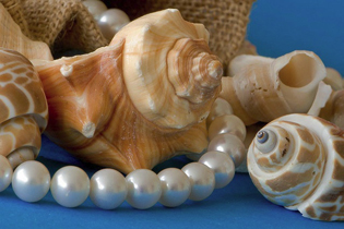 http://historicaldesign.com/wp-content/uploads/2015/02/6-E-pearls-and-shells.jpg