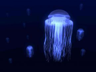 http://historicaldesign.com/wp-content/uploads/2015/06/jellyfish.jpg