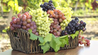 http://historicaldesign.com/wp-content/uploads/2018/09/grapes_food_ndtv.jpg