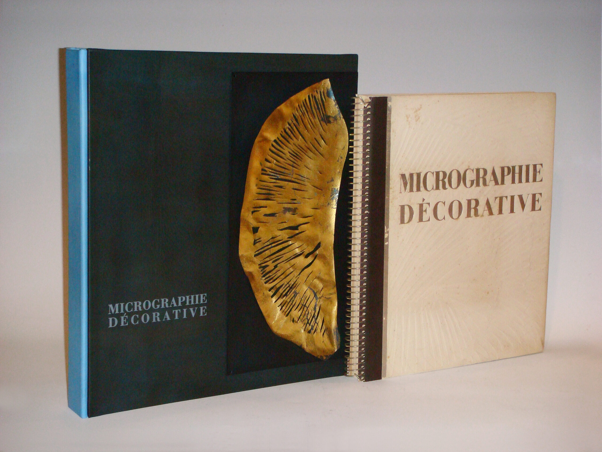 Laure Albin-Guillot, “Micrographie Decorative”  1931